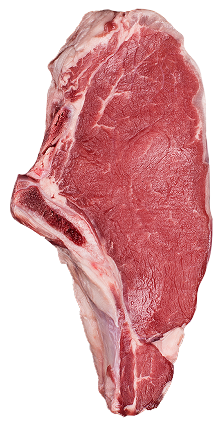 Plain Simple Beef ribeye steak